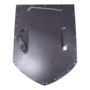 Link Phantom Hourglass Shield